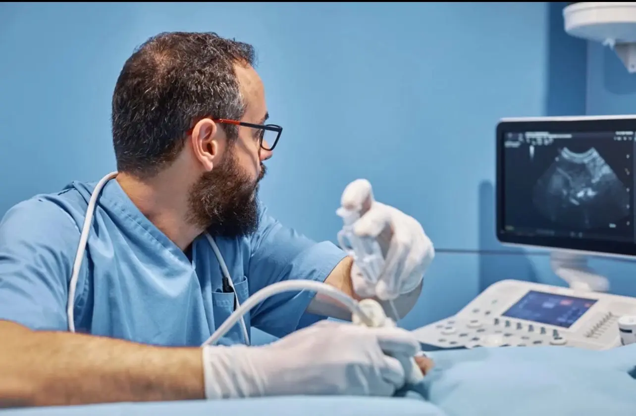 Breast Elastography